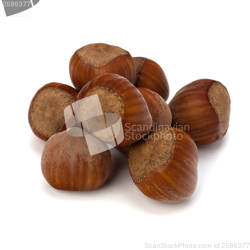 Image of hazelnuts isolated on white background