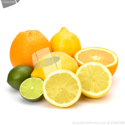 Image of Citrus fruits