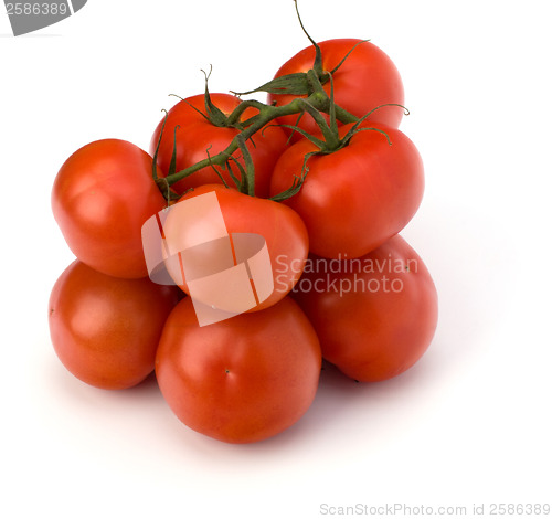 Image of red tomato isolated on the white background 