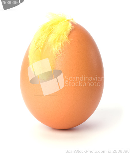 Image of egg and feather isolated on white background