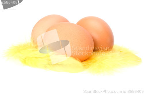 Image of Eggs and feather isolated on white background. Easter decor.