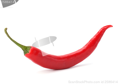 Image of Chili pepper isolated on white background