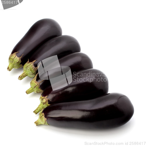 Image of eggplants isolated on white background close up