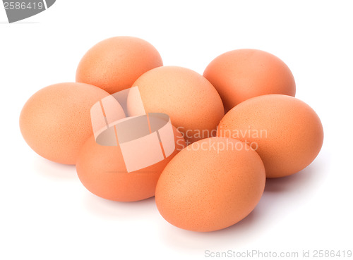 Image of eggs isolated on white background