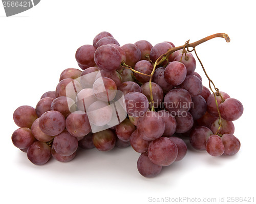 Image of red grape 