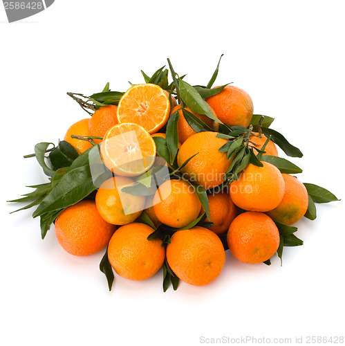 Image of Tangerines 