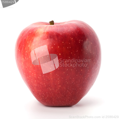 Image of red apple isolated on white background