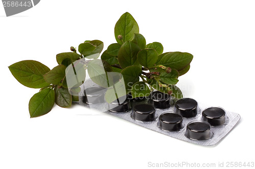 Image of herbal medicine isolated on white background 