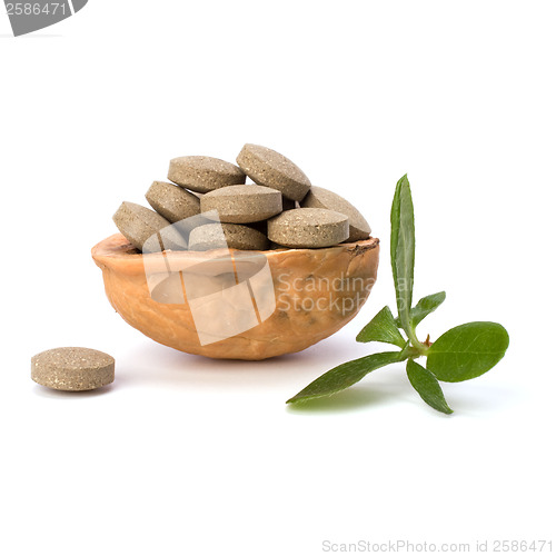 Image of herbal pills