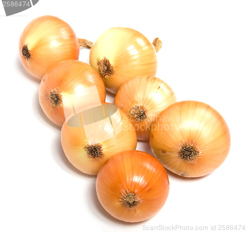 Image of onion isolated on white background
