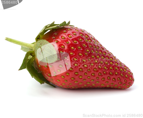 Image of Strawberry isolated on white background