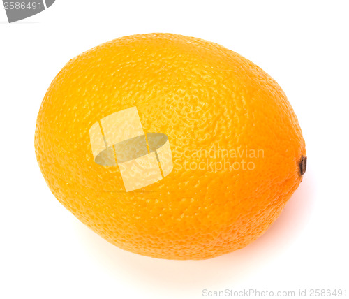 Image of orange isolated on white background