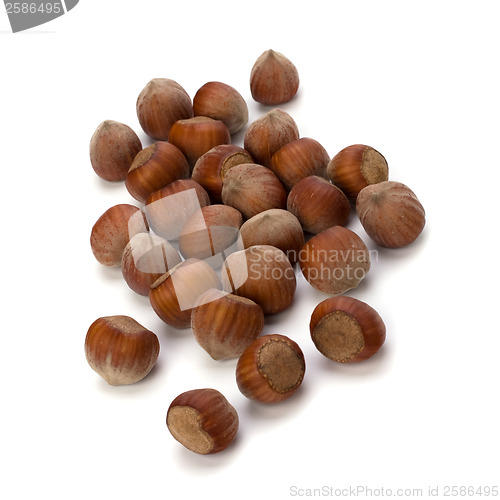 Image of hazelnuts isolated on white background