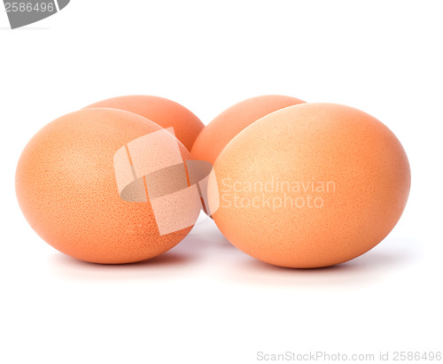 Image of eggs isolated on white background