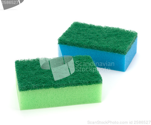 Image of sponges 