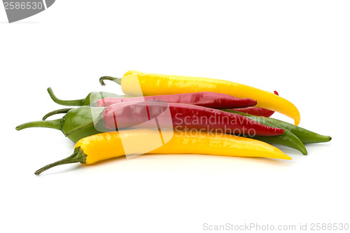 Image of Chili pepper isolated on white background