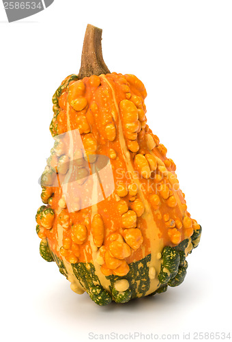 Image of Decorative pumpkin 