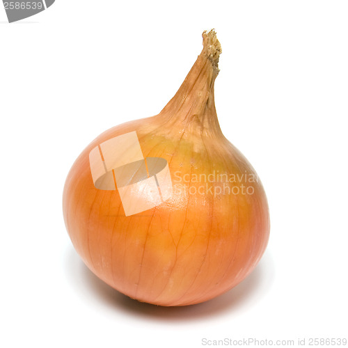 Image of onion isolated on white background