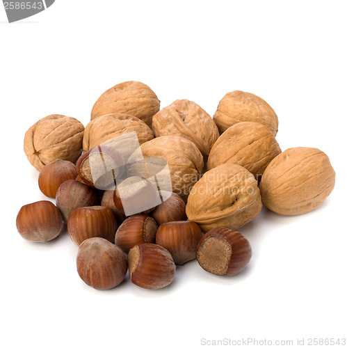 Image of nuts isolated on white background 