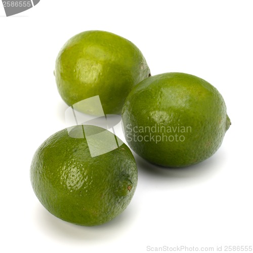 Image of Lime