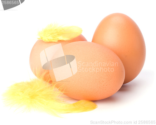 Image of Eggs and feather isolated on white background. Easter decor.
