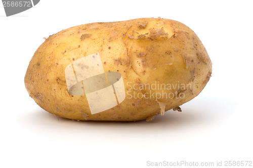 Image of potato