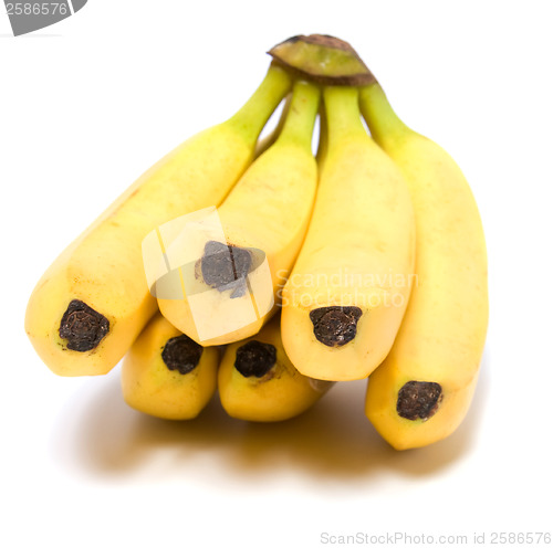 Image of bananas isolated on white background 


