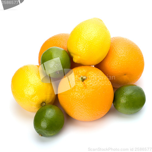 Image of Citrus fruits