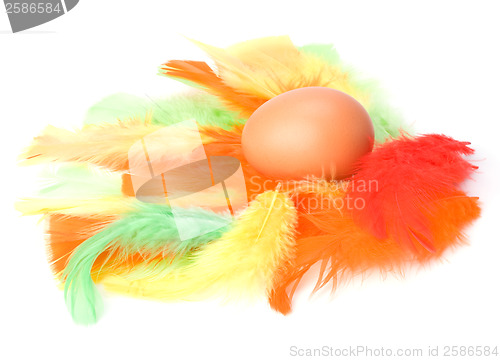 Image of Egg and feather isolated on white background. Easter decor.