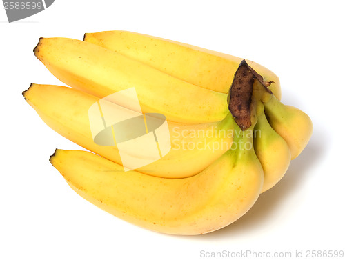 Image of bananas isolated on white background 

