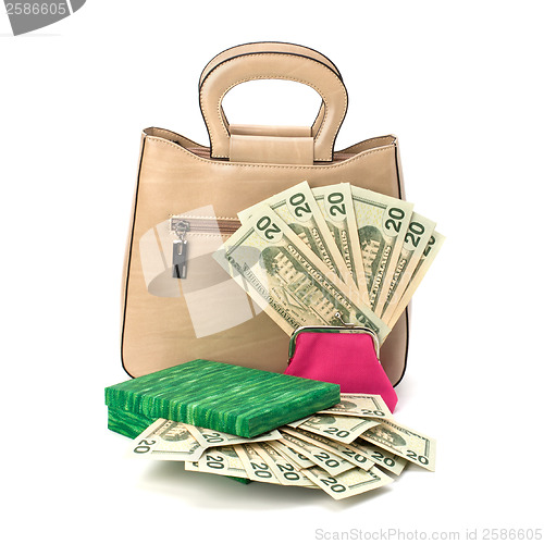 Image of Glamour purse fill with money