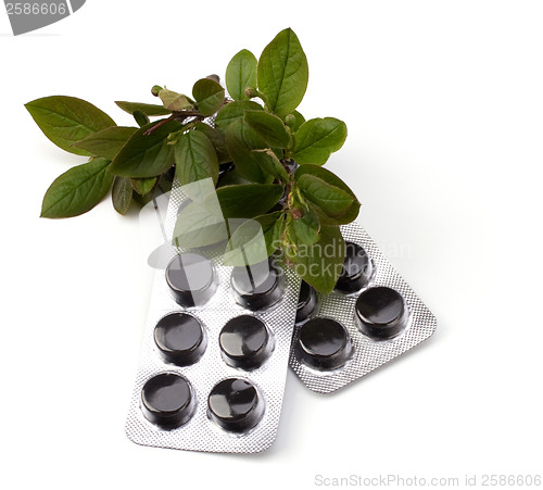 Image of herbal medicine isolated on white background 