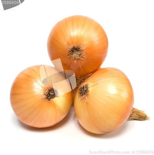 Image of onion isolated on white background