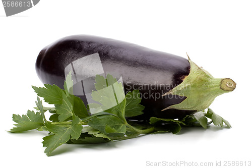 Image of Eggplant isolated on white background