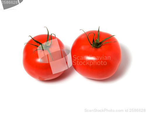 Image of two tomato isolated on the white background 