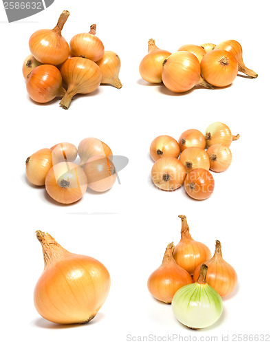 Image of onions