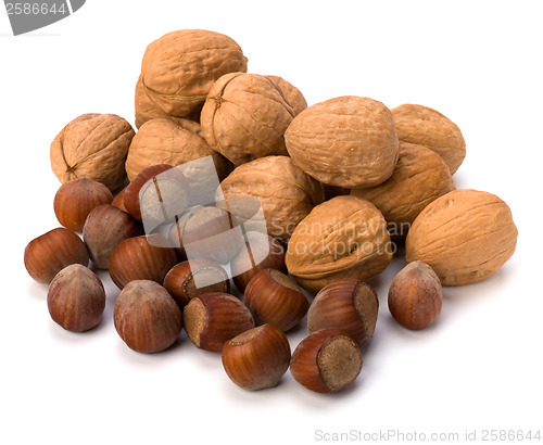 Image of nuts isolated on white background 