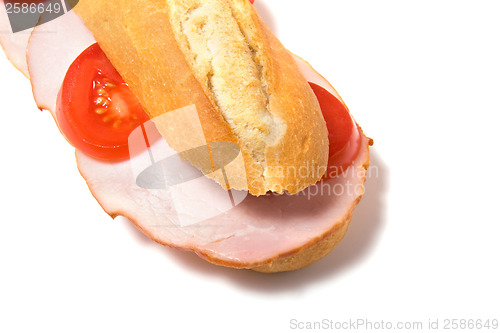 Image of sandwich isolated on white 