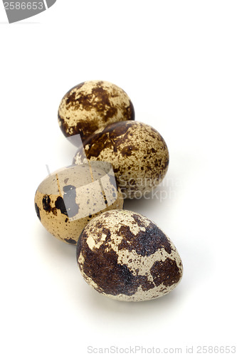 Image of quail eggs