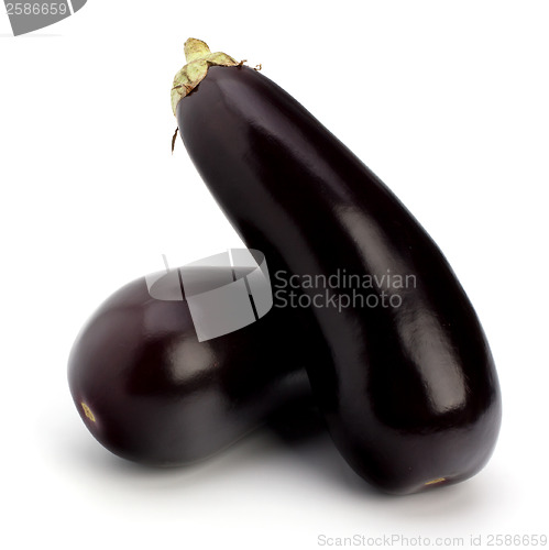 Image of eggplants isolated on white background close up