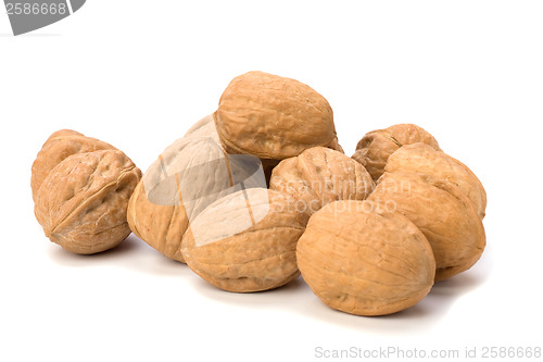 Image of walnuts isolated on white background 