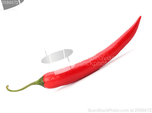 Image of Chili pepper isolated on white background