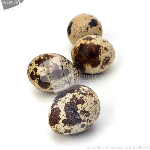 Image of quail eggs