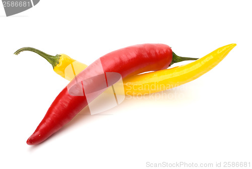 Image of Chili pepper isolated on white background