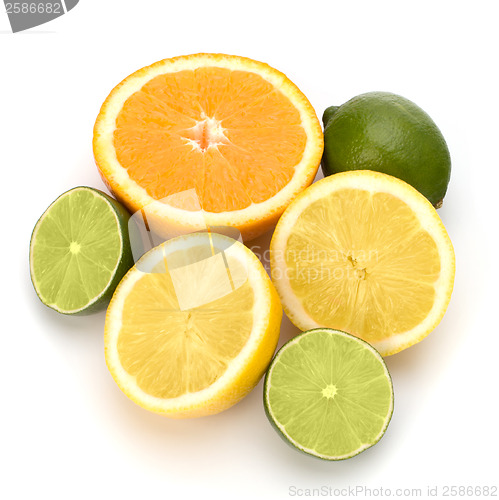 Image of Citrus fruits