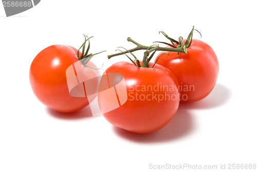 Image of fasten tomato isolated on white background 