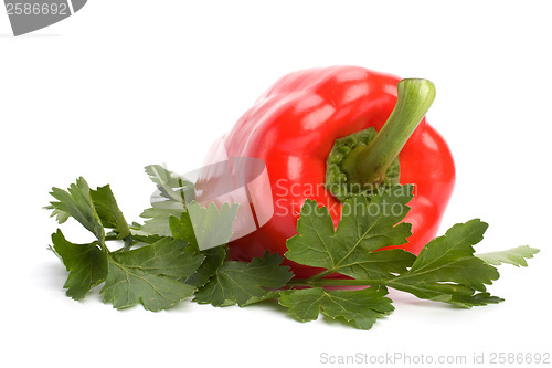 Image of sweet pepper isolated on white background 