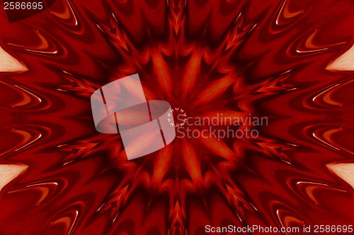 Image of Psychedelic 
