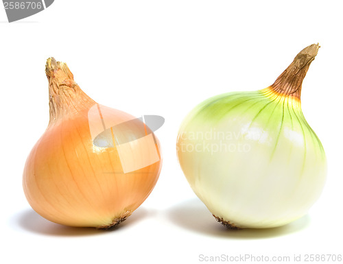 Image of onion isolated on white background