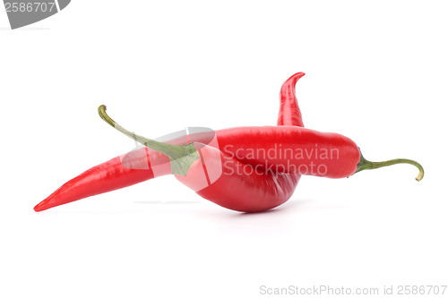 Image of Chili pepper isolated on white background